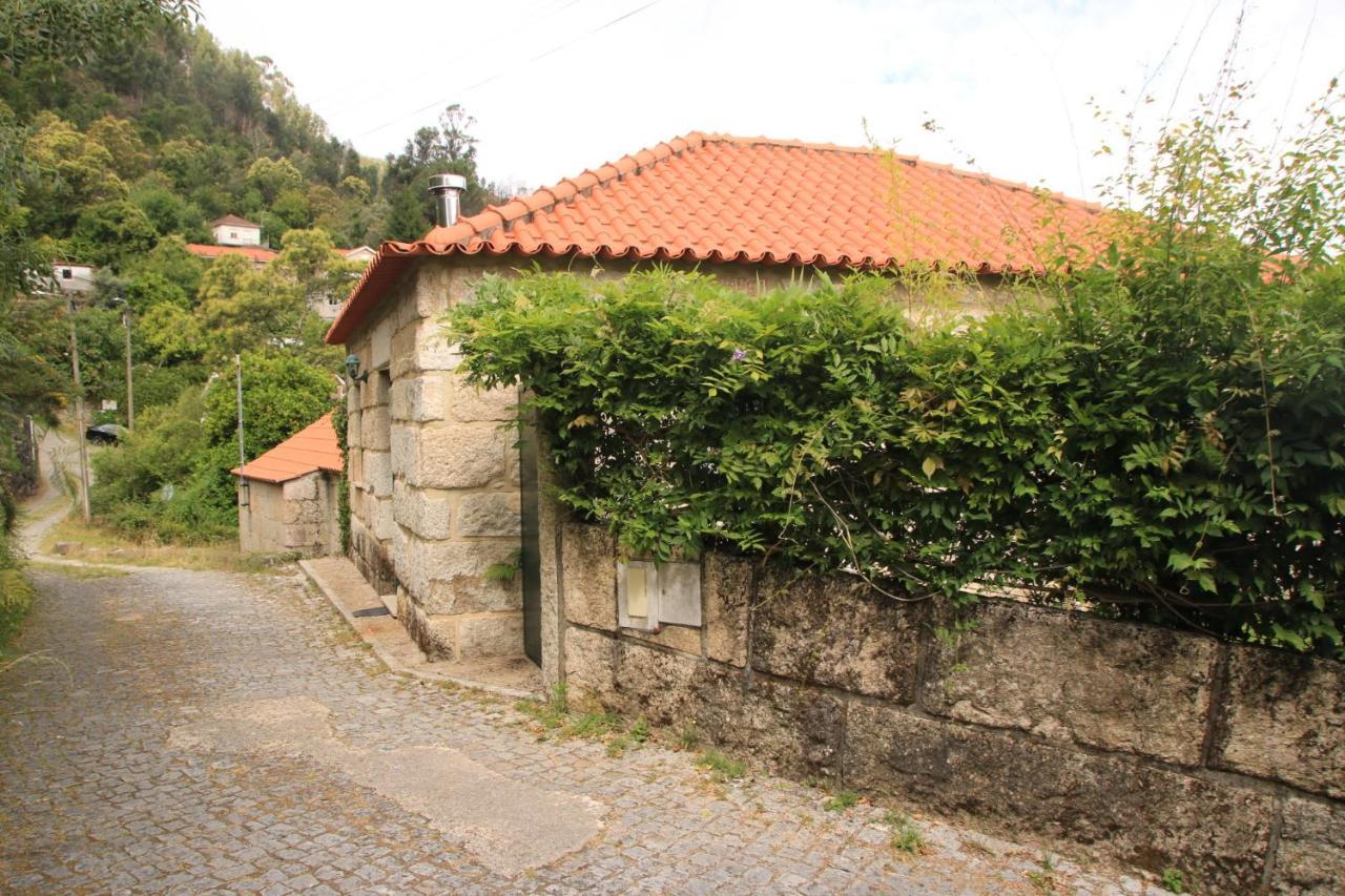 Douro Senses - Casa de Férias Cinfães