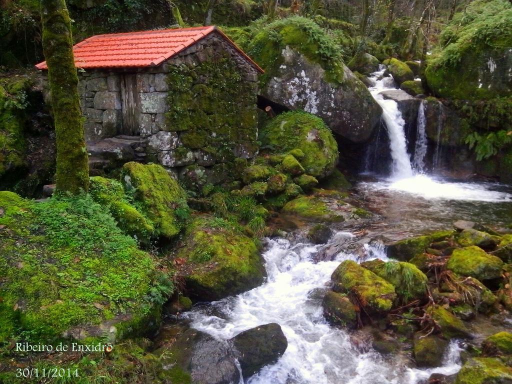 Casa de Férias Douro Senses - *