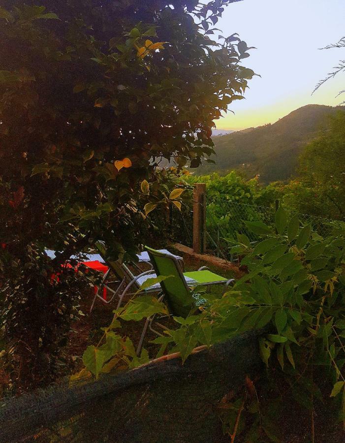 Casa de Férias Douro Senses -
